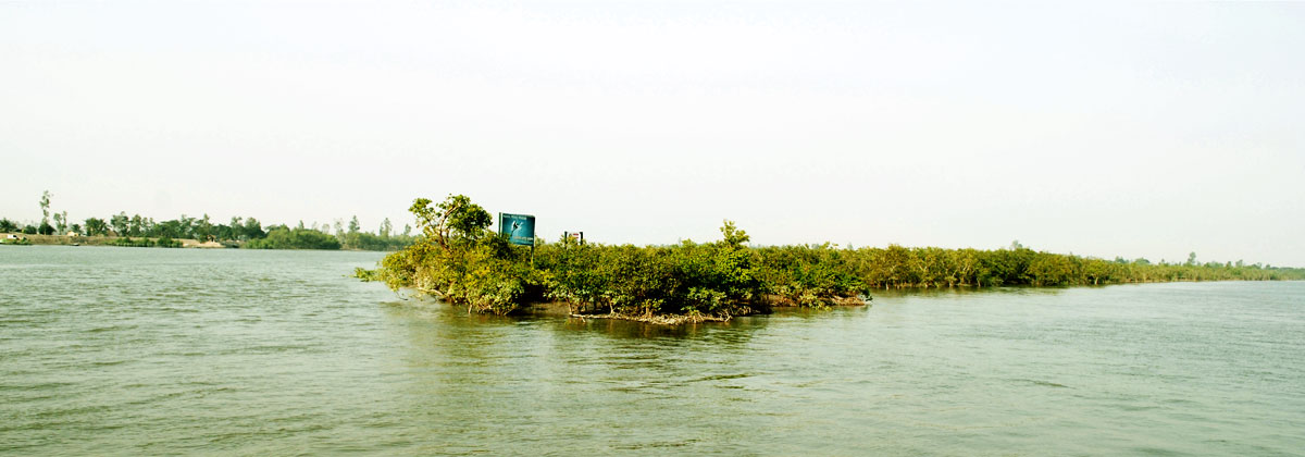 Sundarban Residency inner view